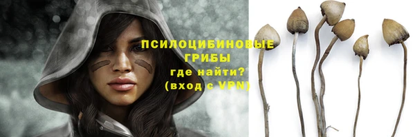 apvp Белоозёрский