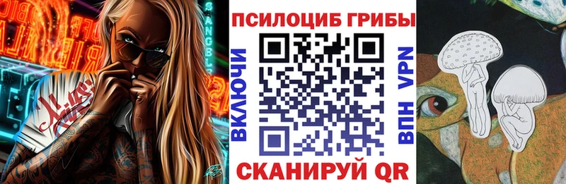 Псилоцибиновые грибы Psilocybine cubensis  OMG ссылки  Бугульма 