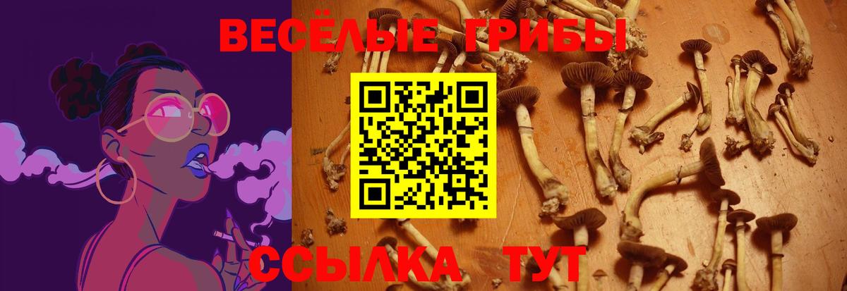 Галлюциногенные грибы Magic Shrooms Бугульма